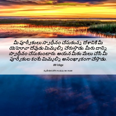 Picture 06 - ద్వితీయోపదేశ కాండము 30:5 TELIRV - మీ పూర్వీకులు - Bible Verse Picture