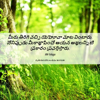 Picture 06 - ద్వితీయోపదేశ కాండము 30:8 TELIRV - మీరు తిరిగి వచ్చి - Bible Verse Picture