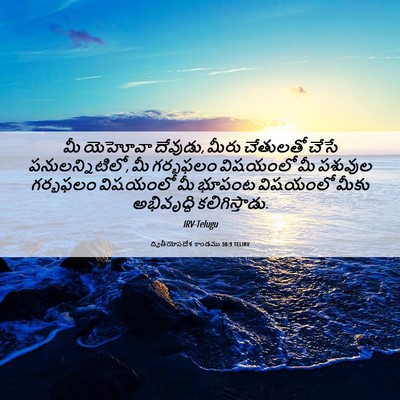 Picture 06 - ద్వితీయోపదేశ కాండము 30:9 TELIRV - మీ యెహోవా దేవుడు, - Bible Verse Picture