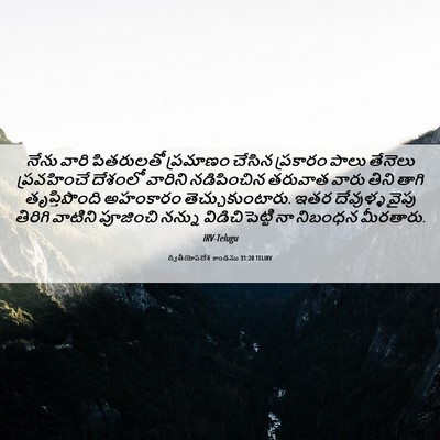 Picture 06 - ద్వితీయోపదేశ కాండము 31:20 TELIRV - నేను వారి - Bible Verse Picture