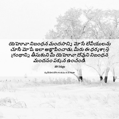 Picture 06 - ద్వితీయోపదేశ కాండము 31:25 TELIRV - యెహోవా నిబంధన - Bible Verse Picture