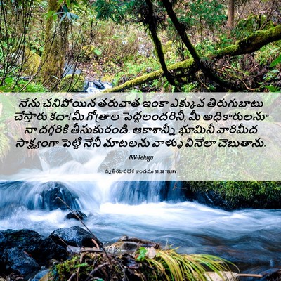 Picture 06 - ద్వితీయోపదేశ కాండము 31:28 TELIRV - నేను చనిపోయిన - Bible Verse Picture