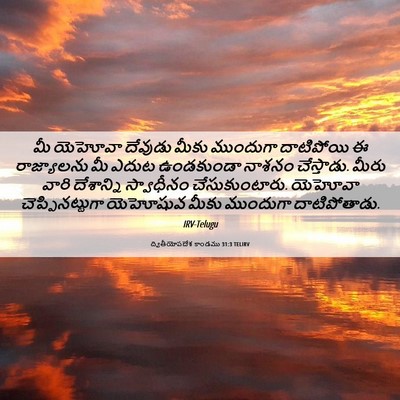 Picture 06 - ద్వితీయోపదేశ కాండము 31:3 TELIRV - మీ యెహోవా దేవుడు - Bible Verse Picture