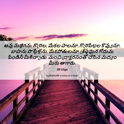 Picture 06 - ద్వితీయోపదేశ కాండము 32:14 TELIRV - ఆవు మజ్జిగను, - Bible Verse Picture