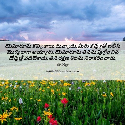 Picture 06 - ద్వితీయోపదేశ కాండము 32:15 TELIRV - యెషూరూను కొవ్వి - Bible Verse Picture