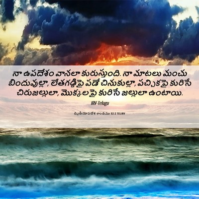 Picture 06 - ద్వితీయోపదేశ కాండము 32:2 TELIRV - నా ఉపదేశం వానలా - Bible Verse Picture
