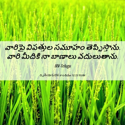Picture 06 - ద్వితీయోపదేశ కాండము 32:23 TELIRV - వారిపై విపత్తుల - Bible Verse Picture