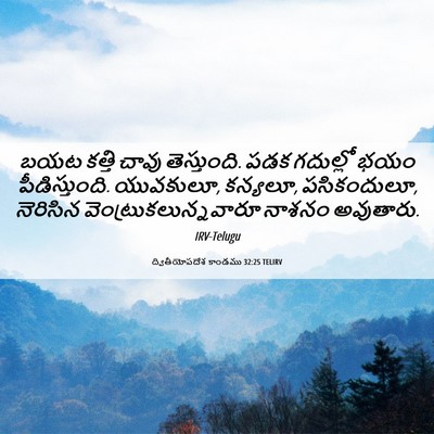 Picture 06 - ద్వితీయోపదేశ కాండము 32:25 TELIRV - బయట కత్తి చావు - Bible Verse Picture