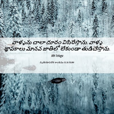 Picture 06 - ద్వితీయోపదేశ కాండము 32:26 TELIRV - వాళ్ళను చాలా దూరం - Bible Verse Picture