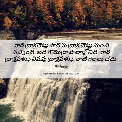 Picture 06 - ద్వితీయోపదేశ కాండము 32:32 TELIRV - వారి - Bible Verse Picture