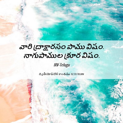 Picture 06 - ద్వితీయోపదేశ కాండము 32:33 TELIRV - వారి ద్రాక్షారసం - Bible Verse Picture