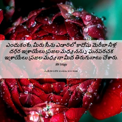Picture 06 - ద్వితీయోపదేశ కాండము 32:51 TELIRV - ఎందుకంటే, మీరు - Bible Verse Picture