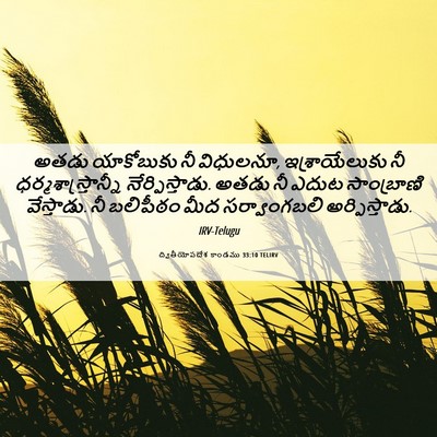 Picture 06 - ద్వితీయోపదేశ కాండము 33:10 TELIRV - అతడు యాకోబుకు నీ - Bible Verse Picture