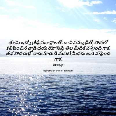 Picture 06 - ద్వితీయోపదేశ కాండము 33:16 TELIRV - భూమి ఇచ్చే - Bible Verse Picture