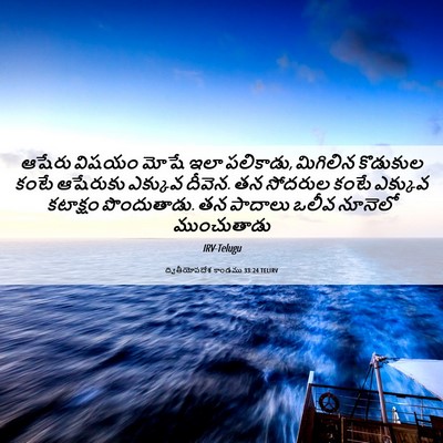 Picture 06 - ద్వితీయోపదేశ కాండము 33:24 TELIRV - ఆషేరు విషయం మోషే - Bible Verse Picture