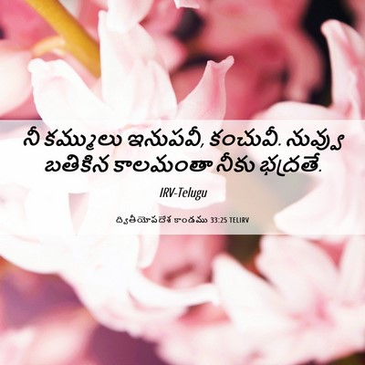 Picture 06 - ద్వితీయోపదేశ కాండము 33:25 TELIRV - నీ కమ్ములు ఇనుపవీ, - Bible Verse Picture
