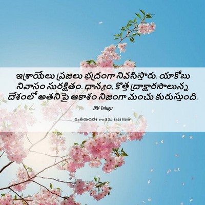 Picture 06 - ద్వితీయోపదేశ కాండము 33:28 TELIRV - ఇశ్రాయేలు ప్రజలు - Bible Verse Picture