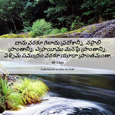 Picture 06 - ద్వితీయోపదేశ కాండము 34:2 TELIRV - దాను వరకూ గిలాదు - Bible Verse Picture