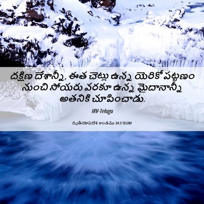 Picture 06 - ద్వితీయోపదేశ కాండము 34:3 TELIRV - దక్షిణ దేశాన్నీ, - Bible Verse Picture