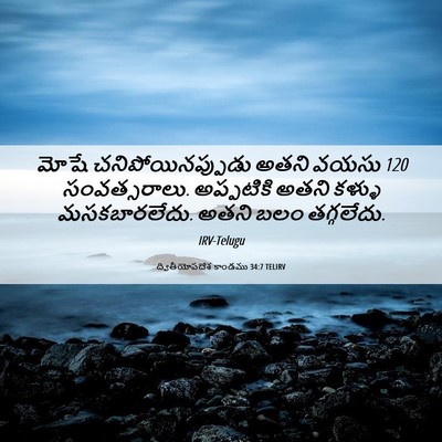Picture 06 - ద్వితీయోపదేశ కాండము 34:7 TELIRV - మోషే - Bible Verse Picture
