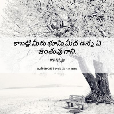 Picture 06 - ద్వితీయోపదేశ కాండము 4:16 TELIRV - కాబట్టి మీరు భూమి - Bible Verse Picture