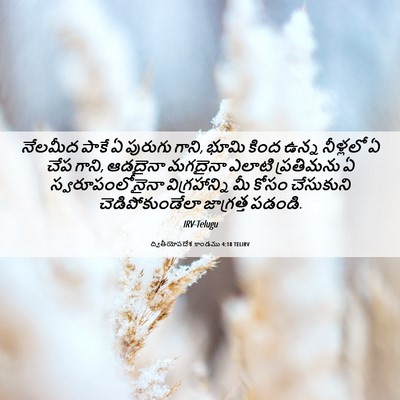 Picture 06 - ద్వితీయోపదేశ కాండము 4:18 TELIRV - నేలమీద పాకే ఏ - Bible Verse Picture