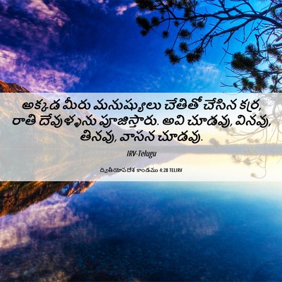 Picture 06 - ద్వితీయోపదేశ కాండము 4:28 TELIRV - అక్కడ మీరు - Bible Verse Picture