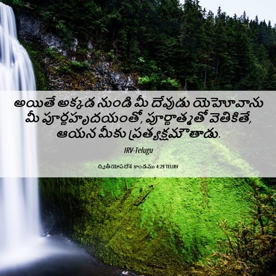 Picture 06 - ద్వితీయోపదేశ కాండము 4:29 TELIRV - అయితే అక్కడ నుండి - Bible Verse Picture