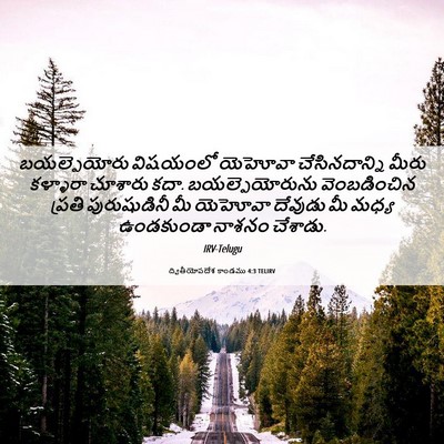 Picture 06 - ద్వితీయోపదేశ కాండము 4:3 TELIRV - బయల్పెయోరు - Bible Verse Picture