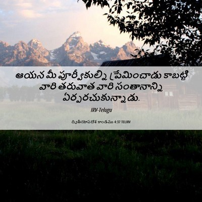 Picture 06 - ద్వితీయోపదేశ కాండము 4:37 TELIRV - ఆయన మీ - Bible Verse Picture