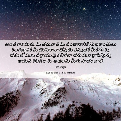 Picture 06 - ద్వితీయోపదేశ కాండము 4:40 TELIRV - అంతే గాక మీకు, మీ - Bible Verse Picture