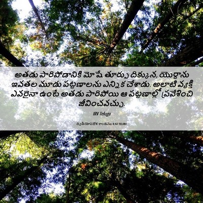Picture 06 - ద్వితీయోపదేశ కాండము 4:42 TELIRV - అతడు పారిపోడానికి - Bible Verse Picture