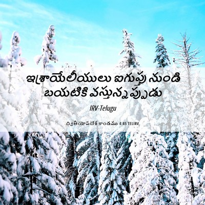 Picture 06 - ద్వితీయోపదేశ కాండము 4:45 TELIRV - ఇశ్రాయేలీయులు - Bible Verse Picture