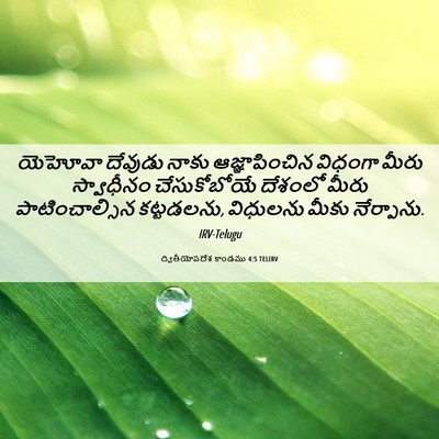 Picture 06 - ద్వితీయోపదేశ కాండము 4:5 TELIRV - యెహోవా దేవుడు - Bible Verse Picture