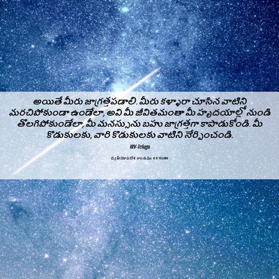 Picture 06 - ద్వితీయోపదేశ కాండము 4:9 TELIRV - అయితే మీరు - Bible Verse Picture