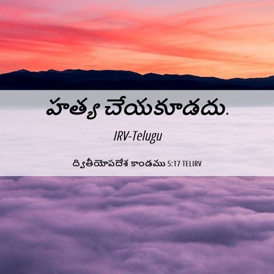Picture 06 - ద్వితీయోపదేశ కాండము 5:17 TELIRV - హత్య - Bible Verse Picture