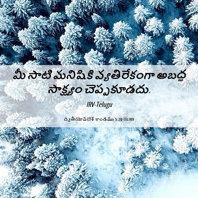 Picture 06 - ద్వితీయోపదేశ కాండము 5:20 TELIRV - మీ సాటి మనిషికి - Bible Verse Picture