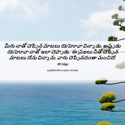 Picture 06 - ద్వితీయోపదేశ కాండము 5:28 TELIRV - మీరు నాతో చెప్పిన - Bible Verse Picture