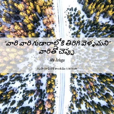 Picture 06 - ద్వితీయోపదేశ కాండము 5:30 TELIRV - “వారి వారి - Bible Verse Picture