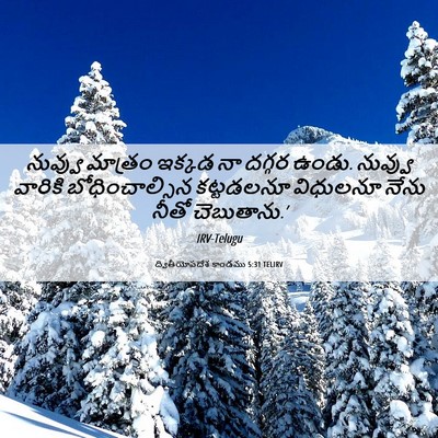 Picture 06 - ద్వితీయోపదేశ కాండము 5:31 TELIRV - నువ్వు మాత్రం - Bible Verse Picture