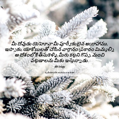Picture 06 - ద్వితీయోపదేశ కాండము 6:10 TELIRV - మీ దేవుడు యెహోవా - Bible Verse Picture