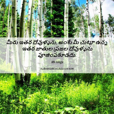 Picture 06 - ద్వితీయోపదేశ కాండము 6:14 TELIRV - మీరు ఇతర - Bible Verse Picture