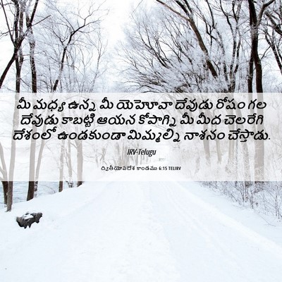 Picture 06 - ద్వితీయోపదేశ కాండము 6:15 TELIRV - మీ మధ్య ఉన్న మీ - Bible Verse Picture