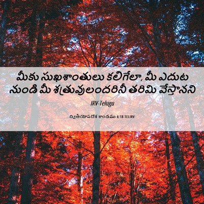 Picture 06 - ద్వితీయోపదేశ కాండము 6:18 TELIRV - మీకు సుఖశాంతులు - Bible Verse Picture