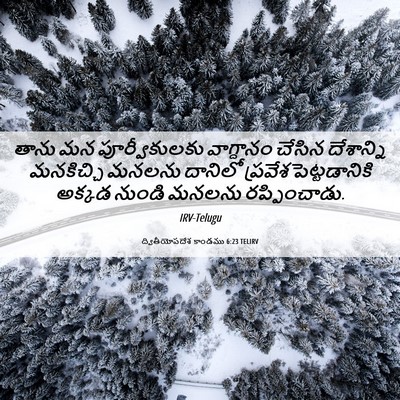 Picture 06 - ద్వితీయోపదేశ కాండము 6:23 TELIRV - తాను మన - Bible Verse Picture