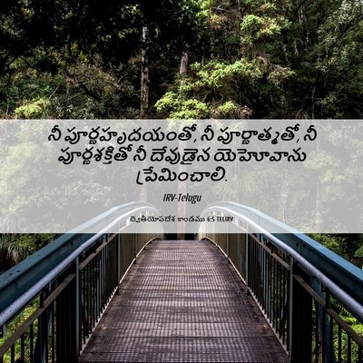 Picture 06 - ద్వితీయోపదేశ కాండము 6:5 TELIRV - నీ పూర్ణహృదయంతో, - Bible Verse Picture