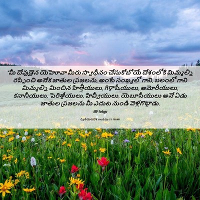 Picture 06 - ద్వితీయోపదేశ కాండము 7:1 TELIRV - “మీ దేవుడైన - Bible Verse Picture