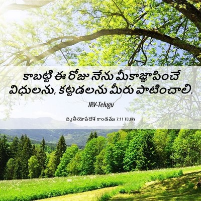 Picture 06 - ద్వితీయోపదేశ కాండము 7:11 TELIRV - కాబట్టి ఈ రోజు - Bible Verse Picture