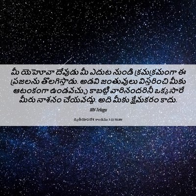 Picture 06 - ద్వితీయోపదేశ కాండము 7:22 TELIRV - మీ యెహోవా దేవుడు - Bible Verse Picture