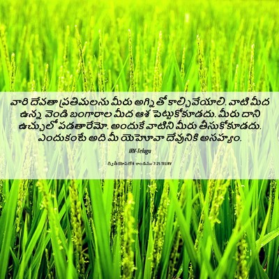Picture 06 - ద్వితీయోపదేశ కాండము 7:25 TELIRV - వారి దేవతా - Bible Verse Picture